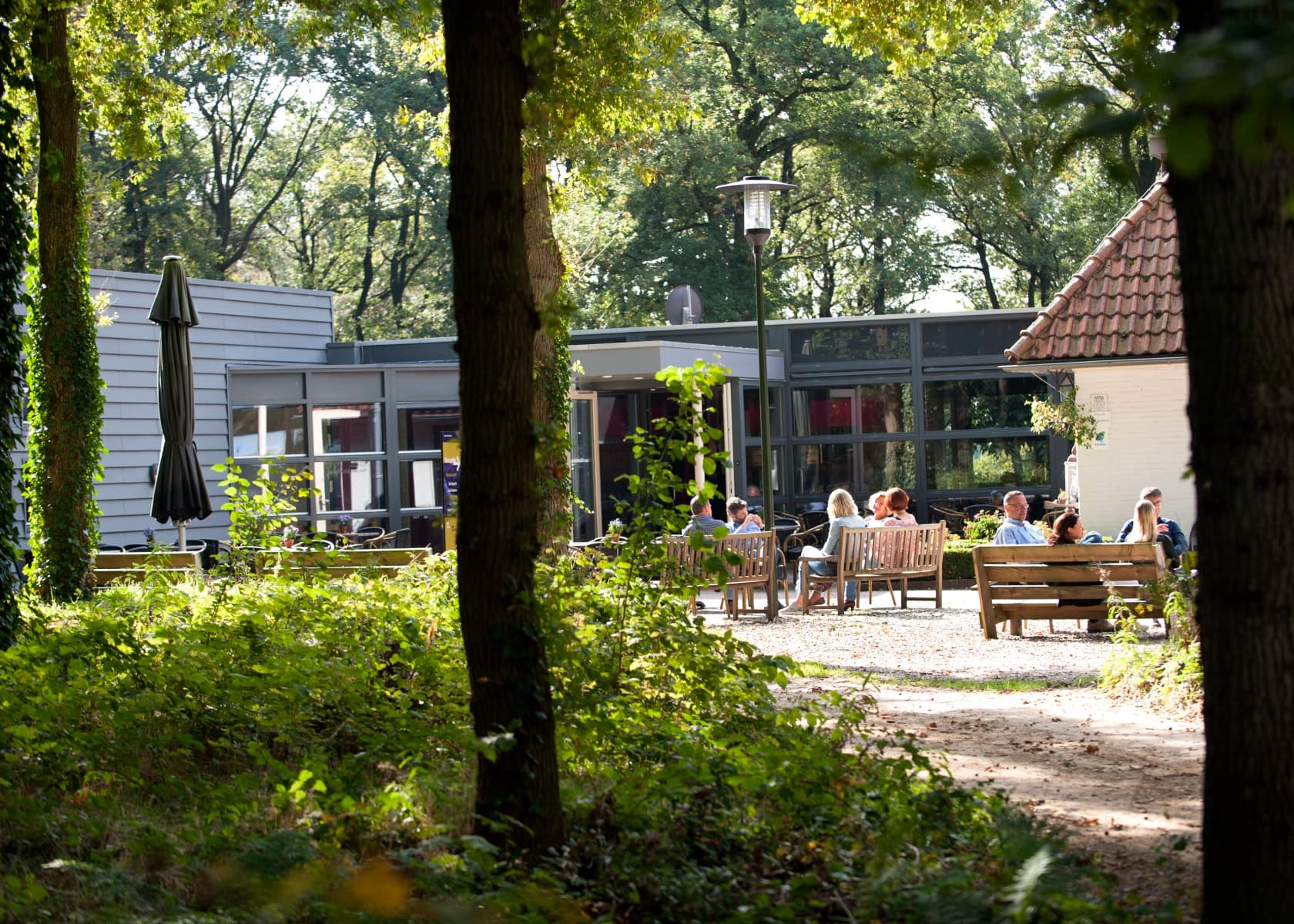 Nieuw Allardsoog