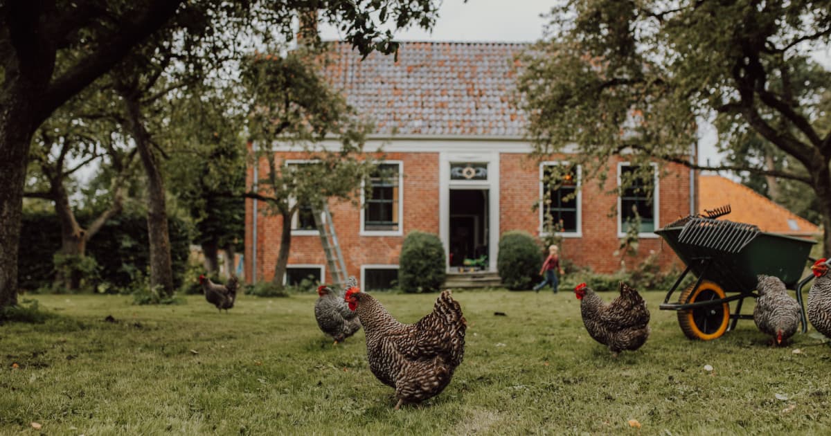 Op Maarhuizen